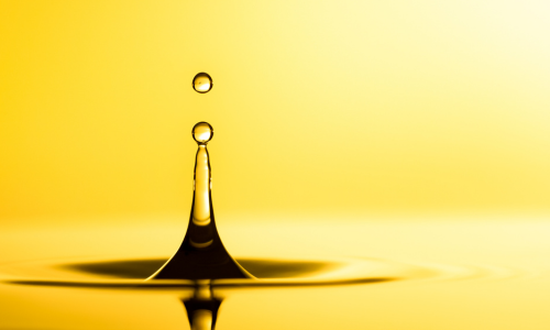 Biodiesel (1)